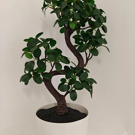 La Parenthese Zen - Grande Terrasse Avec Vue Toulouse