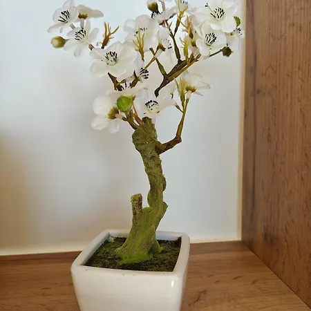 Apartment La Parenthese Zen - Grande Terrasse Avec Vue