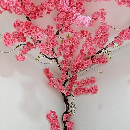 La Parenthese Zen - Grande Terrasse Avec Vue