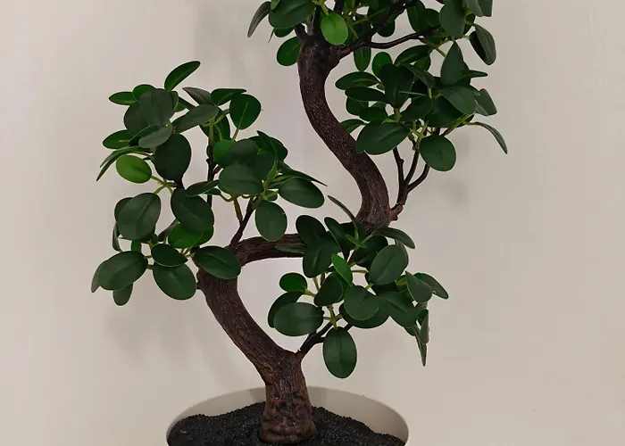 La Parenthese Zen - Grande Terrasse Avec Vue Toulouse