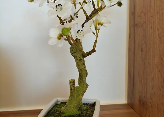 Appartamento La Parenthèse Zen - Grande Terrasse Avec Vue