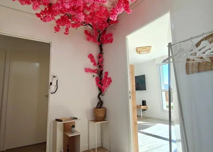 La Parenthese Zen - Grande Terrasse Avec Vue *